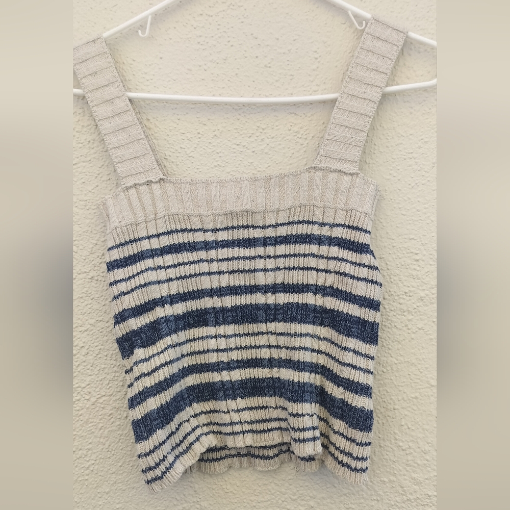 Pilcro Blue and Cream Crop Top